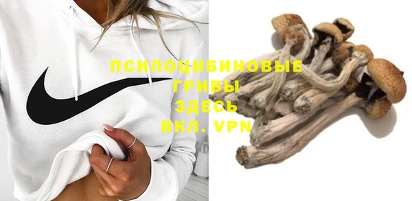 индика Абинск