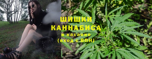 стаф Абаза