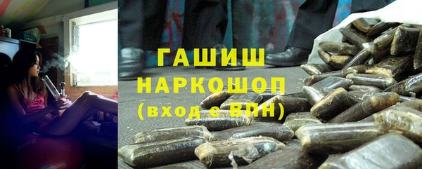 индика Абинск
