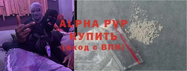 индика Абинск
